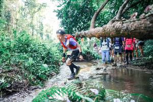 BIB: 
                            <button type="button" onclick="openModal(25465040)" class="btn btn-primary btn-sm float-right btn-popup" data-toggle="modal" data-target=".modal-high-quality">
                        <i class="fas fa-shopping-cart"></i> Add to Cart
                    </button>
                                            <button type="button" onclick="isThisMe(25465040, true)" class="btn btn-success btn-sm float-right btn-popup btn-isme hidden" data-toggle="tooltip" data-placement="bottom" title="นี่คือรูปของคุณใช่ไหม คลิกที่นี่เพื่อเอาเข้าอัลบั้ม">
                        <i class="fas fa-plus"></i> Add to album
                    </button>
                    <button type="button" onclick="isThisMe(25465040, false)" class="btn btn-warning btn-sm float-right btn-popup btn-isnotme hidden">
                        <i class="fas fa-ban"></i> Remove from album
                    </button>